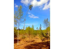 IMG 20170507 133453.jpg