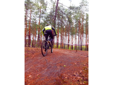 IMG 20170509 122959.jpg