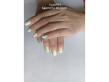 ������� ������ NVi_700���.