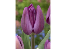 13,23���. ������� ����� ��������(���������� ������ ������ ���������� �� 10 ��.)���17.jpg