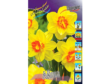 36,86���. ������� ����(�������� ���� �� 5 ��., ����������� ����� 2��.).jpg