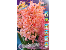 22���. ������� ���������� 14-15 (�������� ���� �� 5 ��., ����������� ����� 3��.)���16.jpg