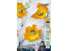 19,91���. ������� �������� ����(�������� ���� �� 10 ��., ����������� ����� 5��.).jpg