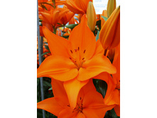 18,7���. ����� �������(���������� ������ ������ ���������� �� 7 ��.).jpg