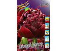 53,94���. ������� ������ �����(�������� ���� �� 5 ��., ����������� ����� 1��.).jpg