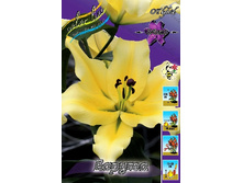 24,26���. ����� ������(�������� ���� �� 7 ��., ����������� ����� 3��.).jpg