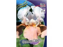 81,8���. ���� ���������� ������� �����(�������� ���� �� 2 ��., ����������� ����� 1��.).jpg