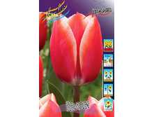 17,68���. ������� �����(�������� ���� �� 10 ��., ����������� ����� 5��.)���16.jpg