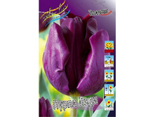 12,19���. ������� ����� ����(���������� ������ ������ ���������� �� 10 ��.).jpg