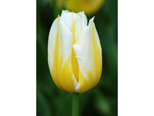 11,74���. ������� ������� ������(���������� ������ ������ ���������� �� 10 ��.)���17.jpg