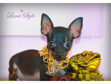 �� ����� (����)