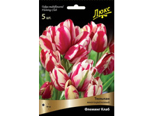 ������� ������� ����.jpg