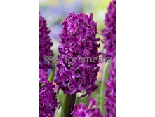 18,28���. ������� ����� �������� 14-15 (���������� ������ ������ ���������� �� 5 ��.).jpg