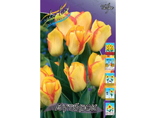 13,97���. ������� �������(���������� ������ ������ ���������� �� 10 ��.).jpg