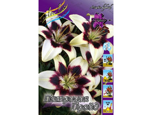 36,66���. ����� �������� �����(�������� ���� �� 5 ��., ����������� ����� 3��.).jpg