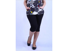 �-100.2 ������(100.1)