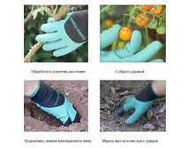 �������� � �������, 230���..jpg