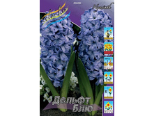 16,06���. ������� ������ ��� 14-15 (���������� ������ ������ ���������� �� 5 ��.).jpg