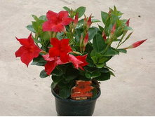 ���������� -350 - 400 ���.