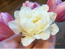 ���� ������