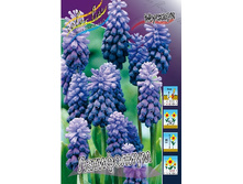 5,8���. ������� ����������(���������� ������ ������ ���������� �� 10 ��.).jpg