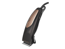 384 ���. - ������� ��� �������