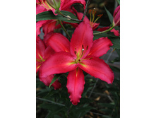 22,67���. ����� ��������(�������� ���� �� 7 ��., ����������� ����� 3��.)���16.jpg