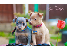 ���� � �����