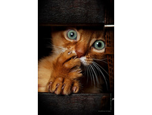 �� �� ���� � ����!