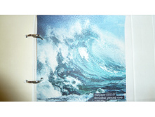 ������ ����.jpg