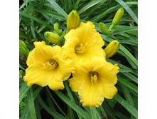 �������� ��������� ���� ������.jpg