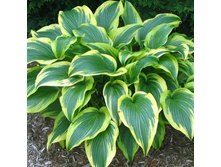 ����� ������������� ���� 100 ��� �����! ��� ������� 2, ������ ���� � �������!.jpg