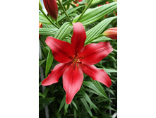 17,9���. ����� ���������(���������� ������ ������ ���������� �� 7 ��.).jpg