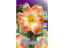 25,37���. ������� ����� ��������(�������� ���� �� 7 ��., ����������� ����� 3��.).jpg