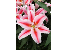 27,76���. ����� ��� �����(�������� ���� �� 5 ��., ����������� ����� 3��.).jpg