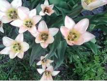 �������� ���� ����