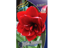 288,2���. ��������� ���� ������(���������� ������ ������ ���������� �� 1 ��.).jpg