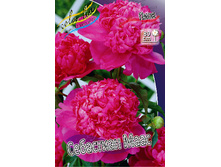 178,6���. ���� ��������� ����(���������� ������ ������ ���������� �� 1 ��.).jpg