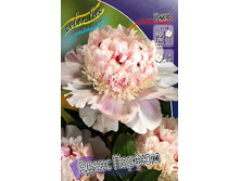 238,4���. ���� ����� ������(���������� ������ ������ ���������� �� 1 ��.).jpg