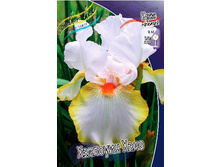 81,8���. ���� ���������� �������� ����(�������� ���� �� 2 ��., ����������� ����� 1��.).jpg