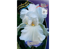 81,8���. ���� ���������� ������(�������� ���� �� 2 ��., ����������� ����� 1��.).jpg