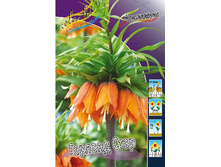 150,05���. ����������� ������� ����(�������� ���� �� 2 ��., ����������� ����� 1��.).jpg