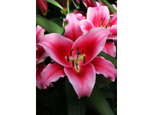 32,2���. ����� ������(�������� ���� �� 5 ��., ����������� ����� 3��.).jpg