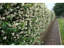 ��������� �������� 120���.jpg