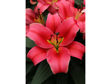 32,84���. ����� �������(�������� ���� �� 5 ��., ����������� ����� 3��.).jpg