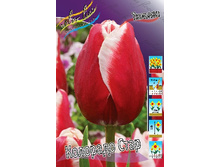 13,97���. ������� �������� ����(���������� ������ ������ ���������� �� 10 ��.)���16.jpg