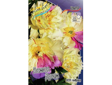 1165���. ���� ����� ���� (���)(�������� ���� �� 1 ��., ����������� ����� 1��.).jpg