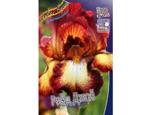 81,8���. ���� ���������� ���� ����(�������� ���� �� 2 ��., ����������� ����� 1��.).jpg