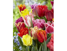 19,91���. ������� �����������, ����� ������(�������� ���� �� 10 ��., ����������� ����� 5��.).jpg