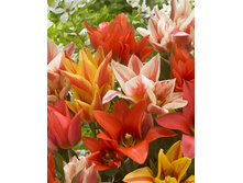 11,07���. ������� ������ ����(���������� ������ ������ ���������� �� 9 ��.)���17.jpg